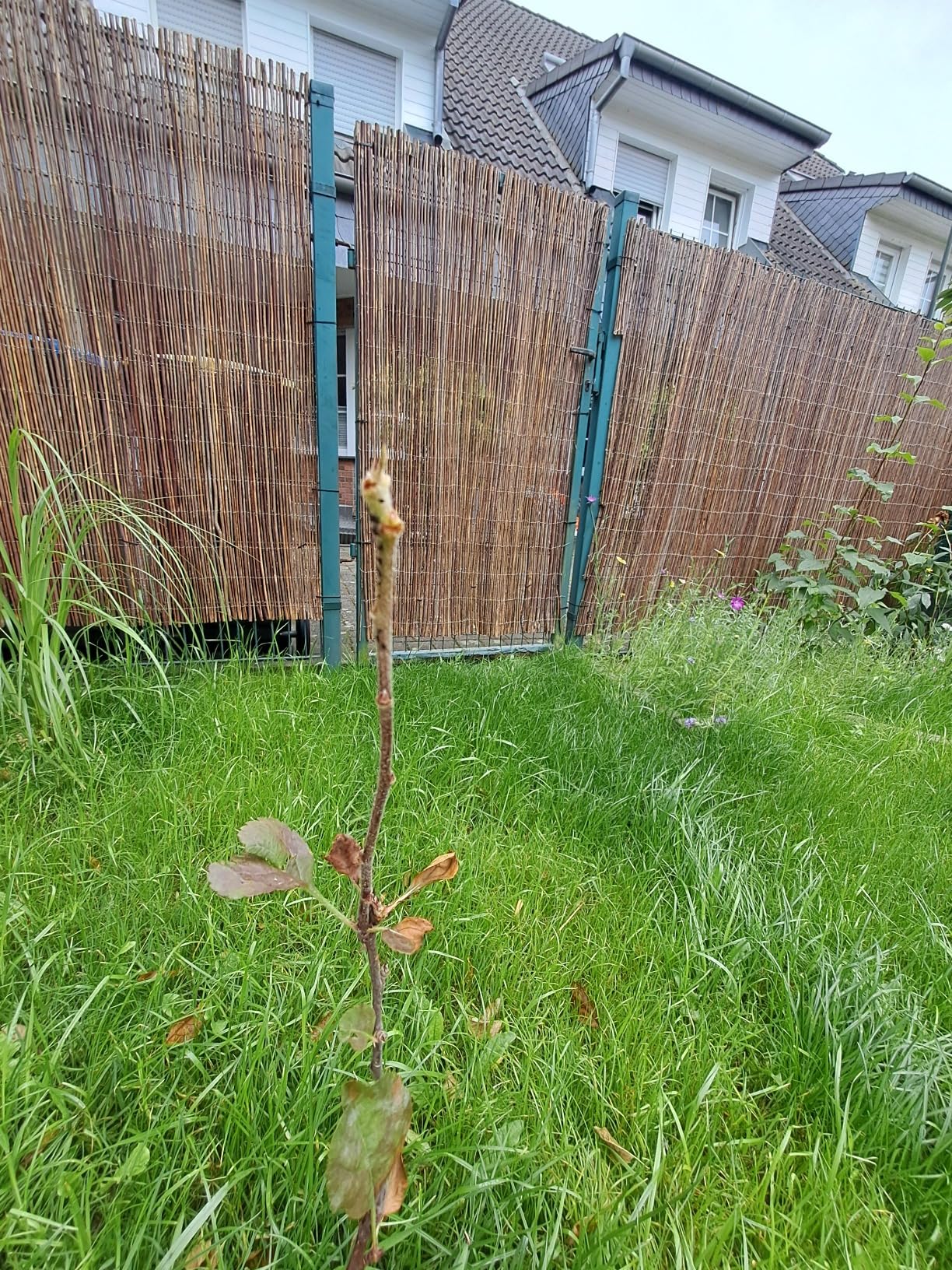 Gute Notlösung im Sommer
