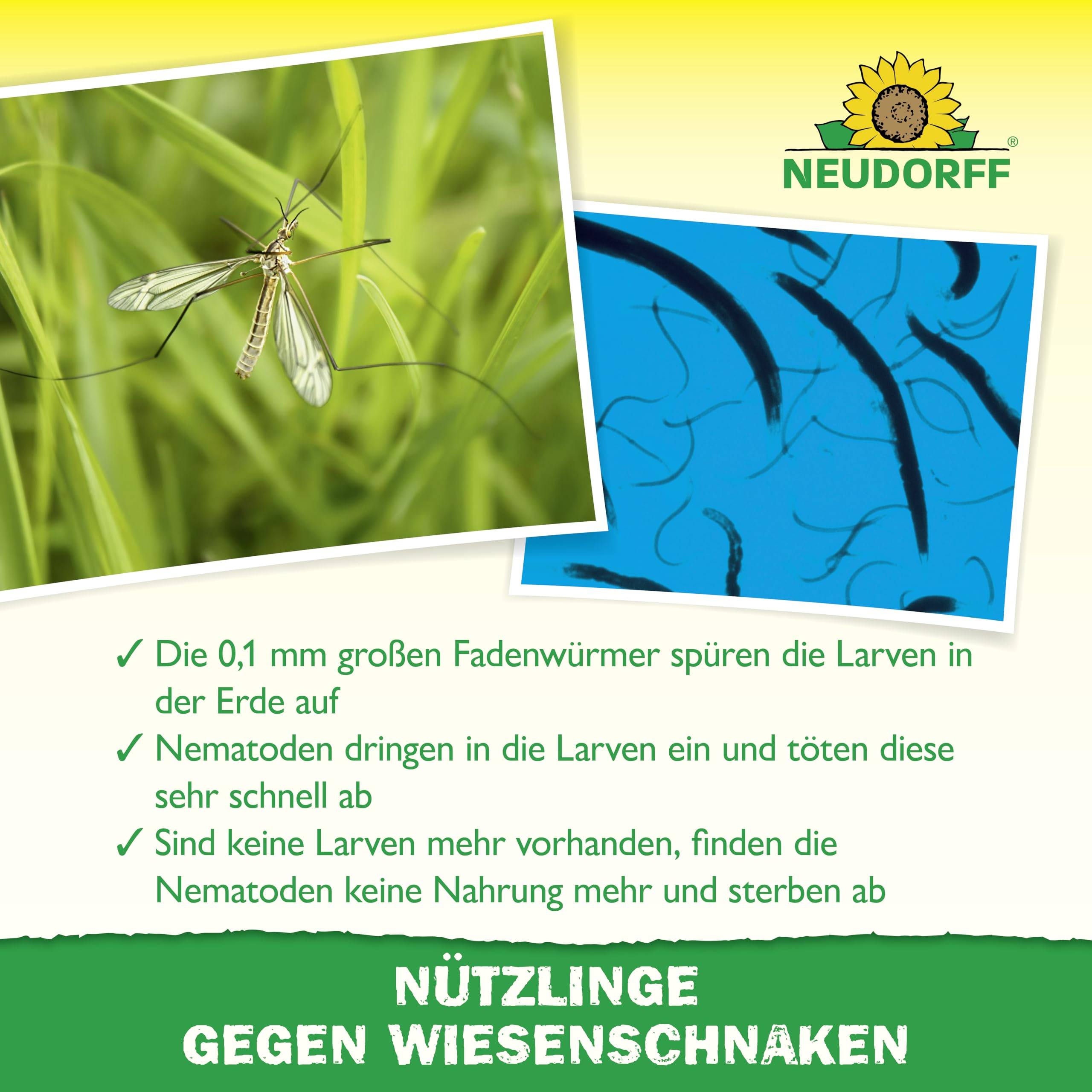 neudorff-n-tzlinge-gegen-wiesenschnaken-10-mio-sc-nematoden-f-r-20-m image 4