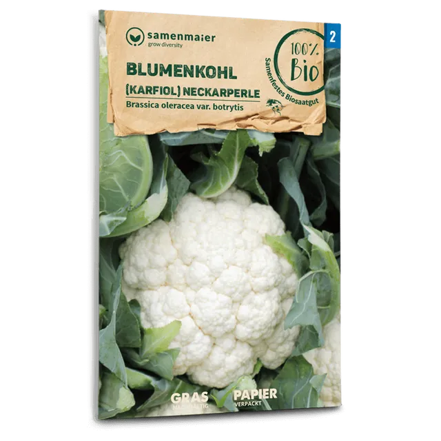 plantura-bio-blumenkohl-neckarperle-bio-saatgut image 1