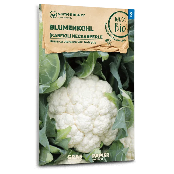 plantura-bio-blumenkohl-neckarperle-bio-saatgut image 1