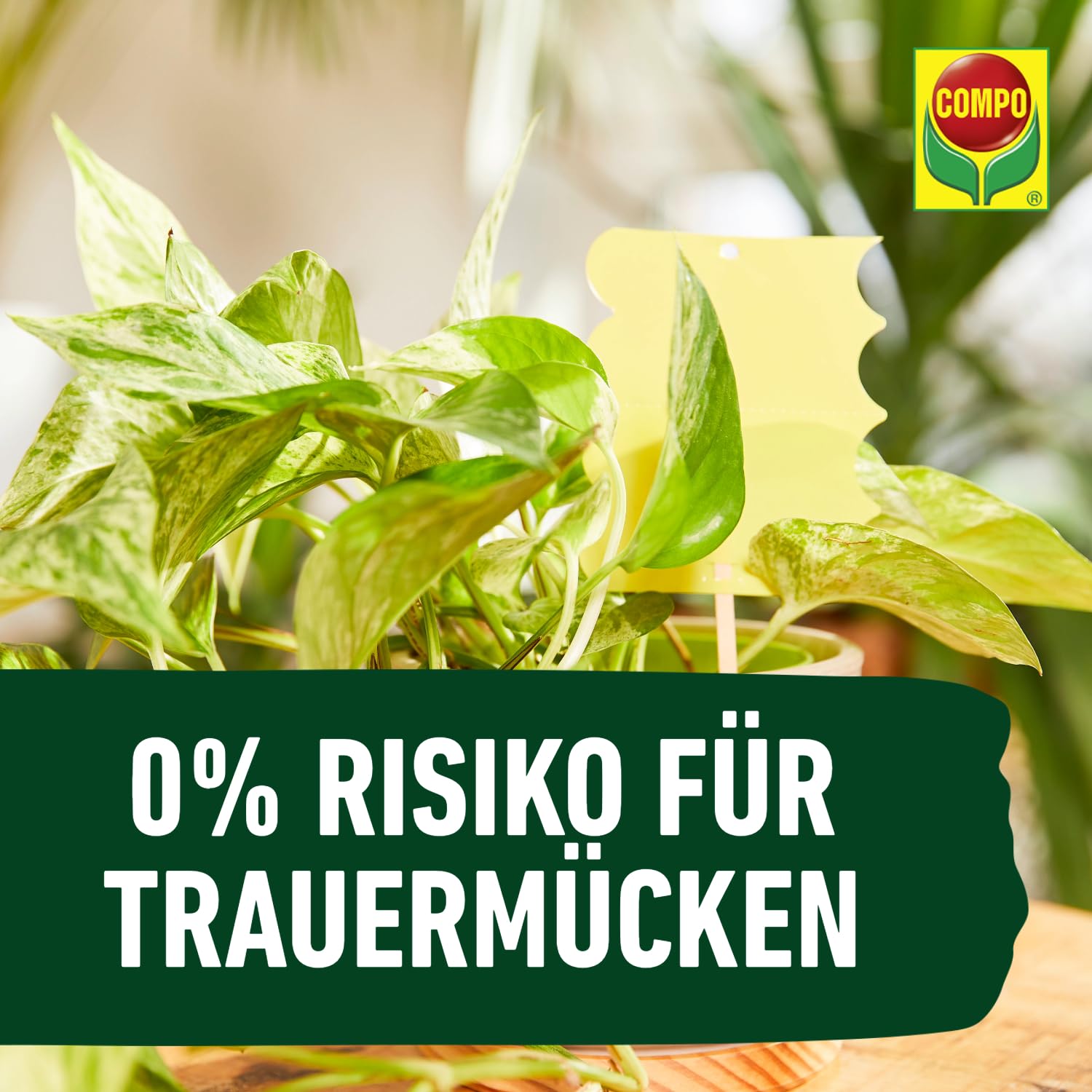 compo-sana-qualit-tsblumenerde-torffrei-40-l-50-leichter-10-wochen-n-hrstoffe image 5