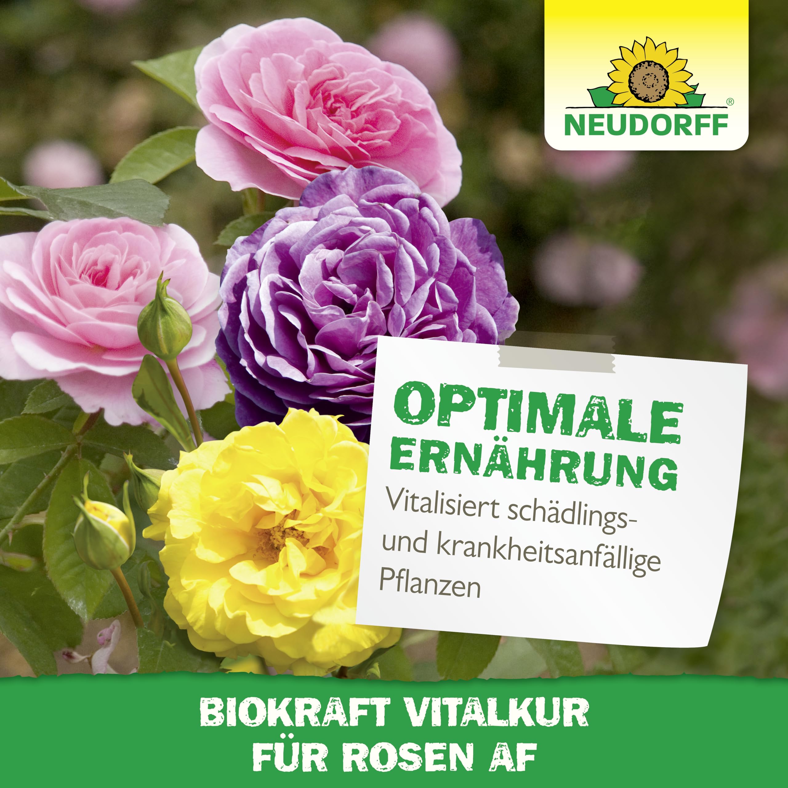 neudorff-biokraft-vitalkur-f-r-rosen-af-fertigspray-500-ml-f-r-rosen-und-zierpfl image 6