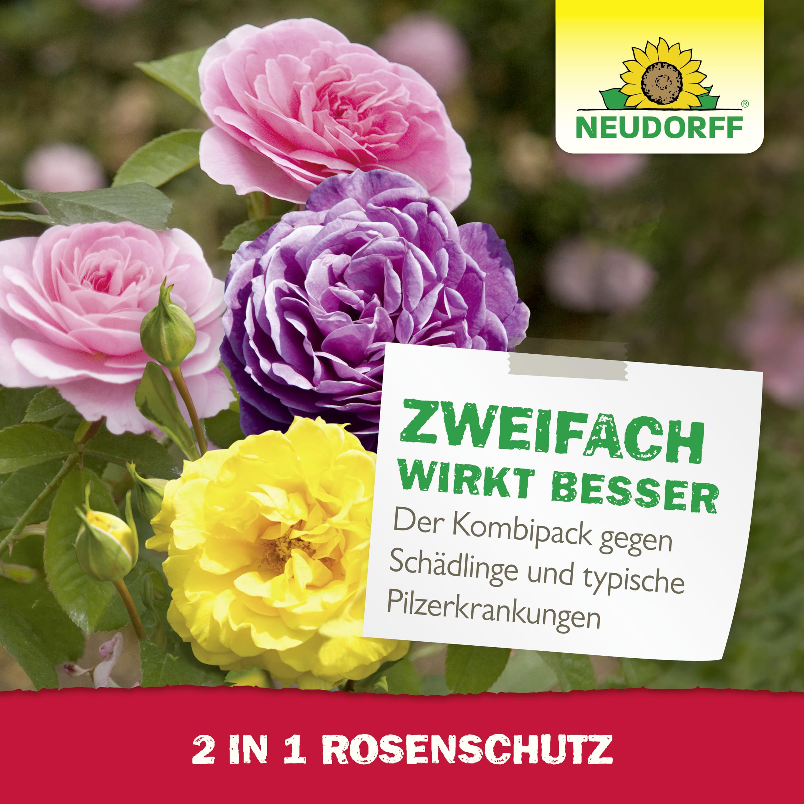 neudorff-2-in-1-rosenschutz-kombipack-sch-dlingsfrei-rosen-pilzfrei-f-r-10-liter image 6