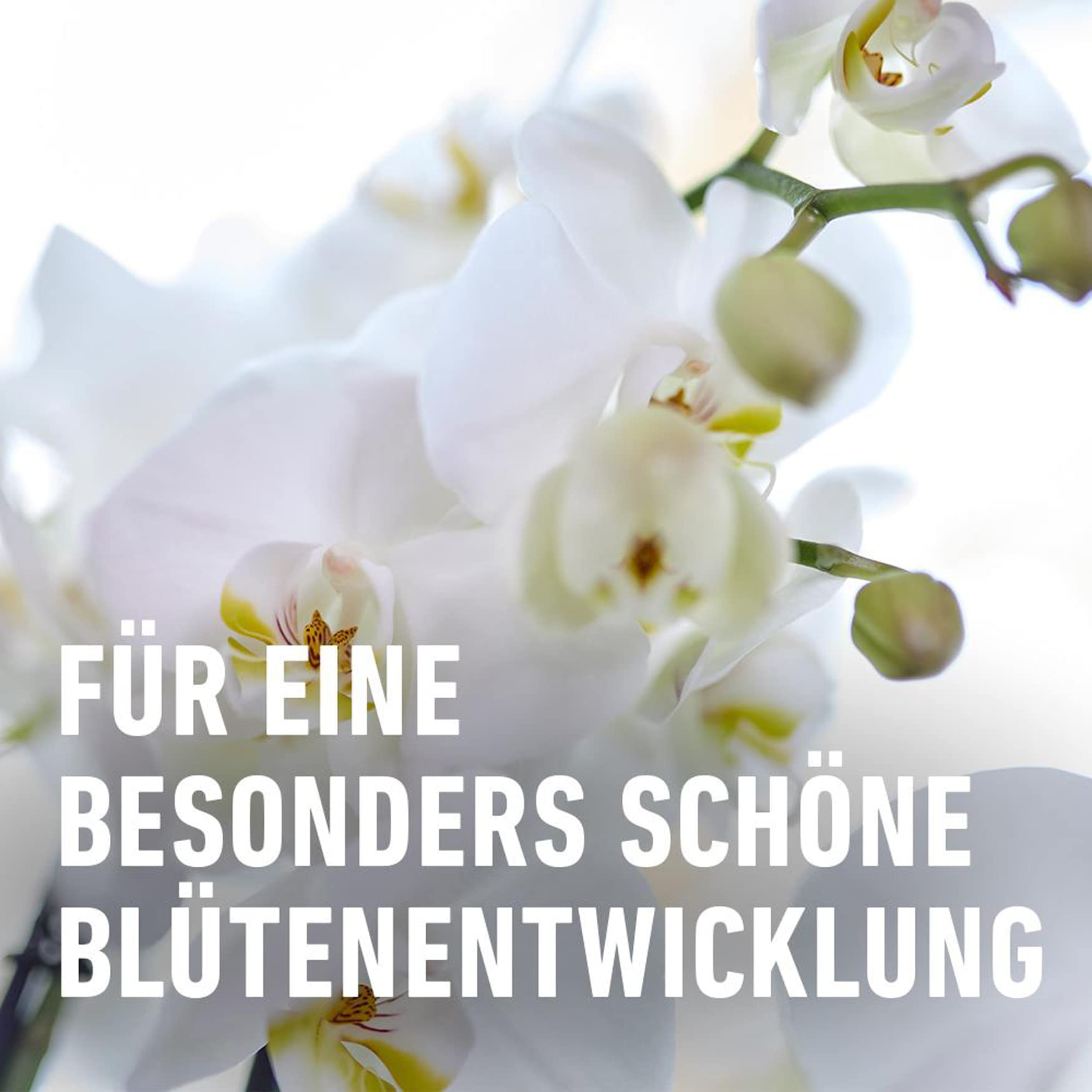 compo-bio-orchideend-nger-fl-ssigd-nger-250-ml image 6