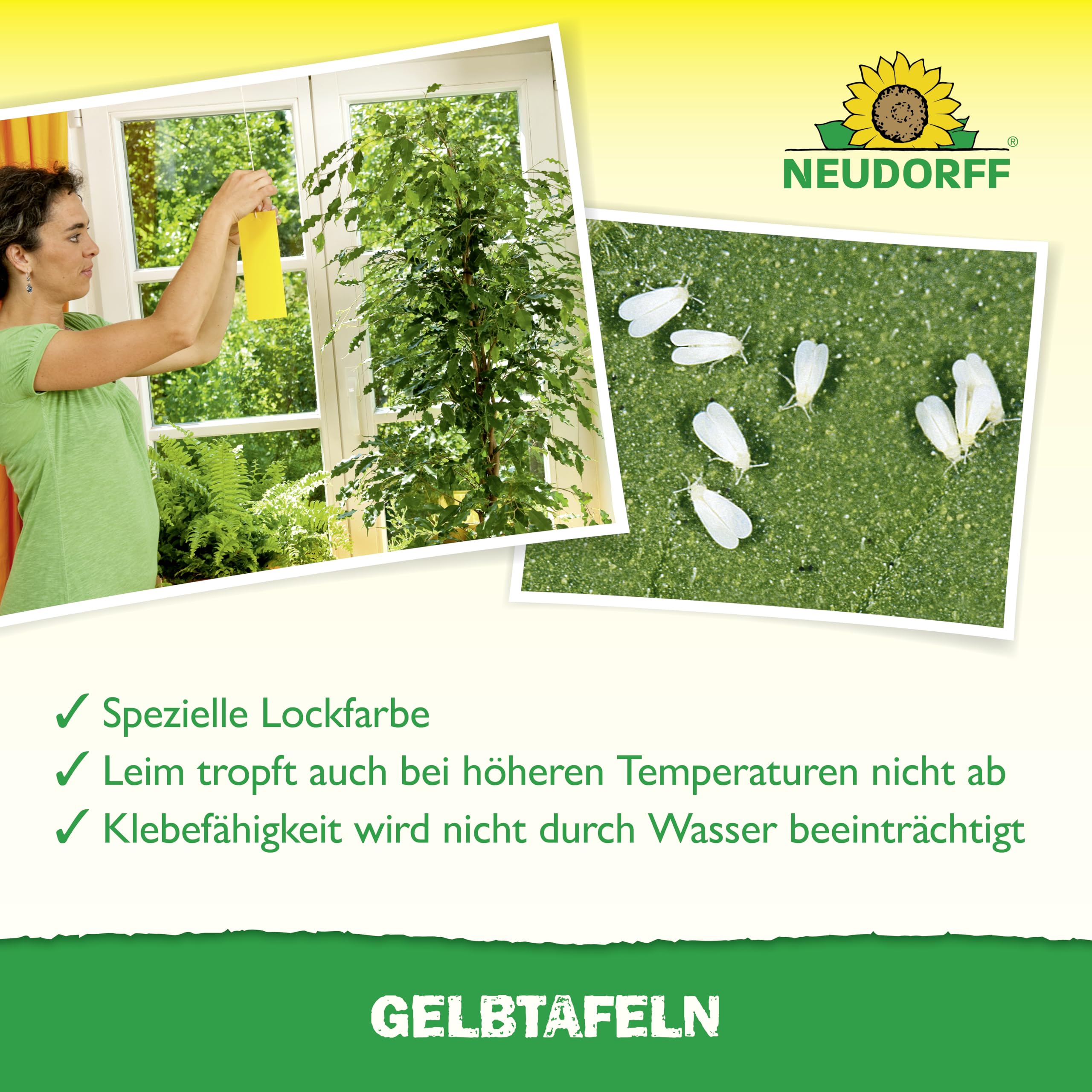 neudorff-gelbtafeln-kleinformatig-7-st-ck-leimtafeln-gegen-trauerm-cken image 5