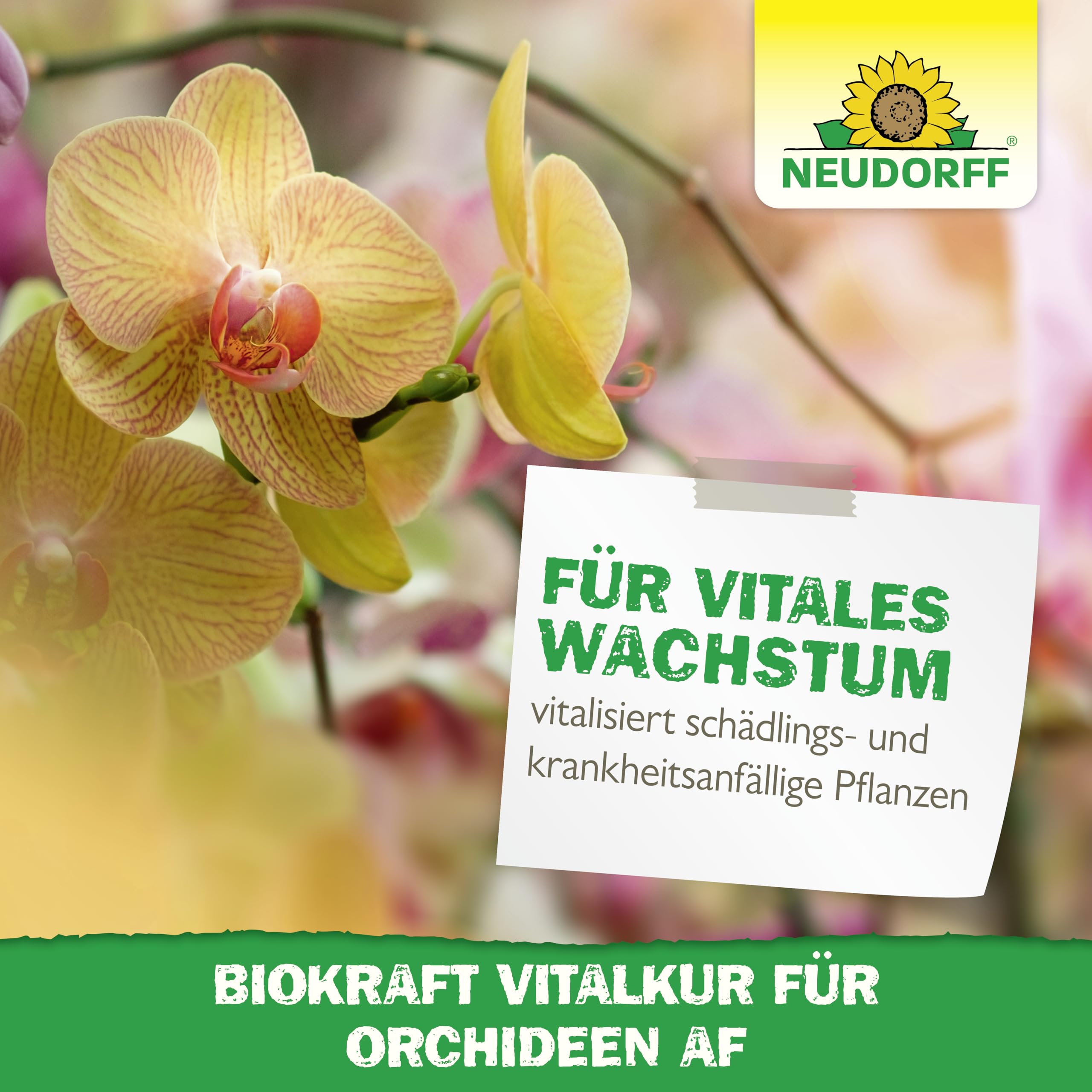 neudorff-biokraft-vitalkur-f-r-orchideen-af-500-ml-pflegespray image 6