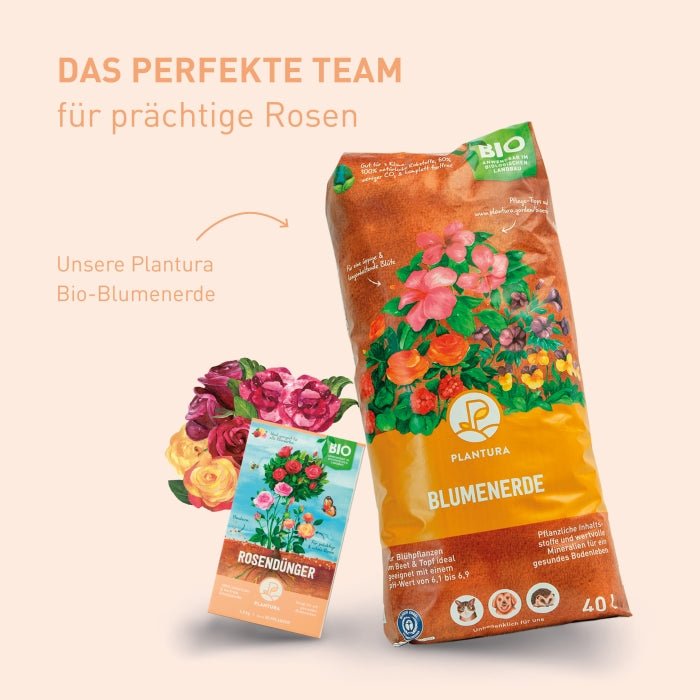 plantura-bio-rosend-nger-1-5-kg-organischer-granulatd-nger image 8