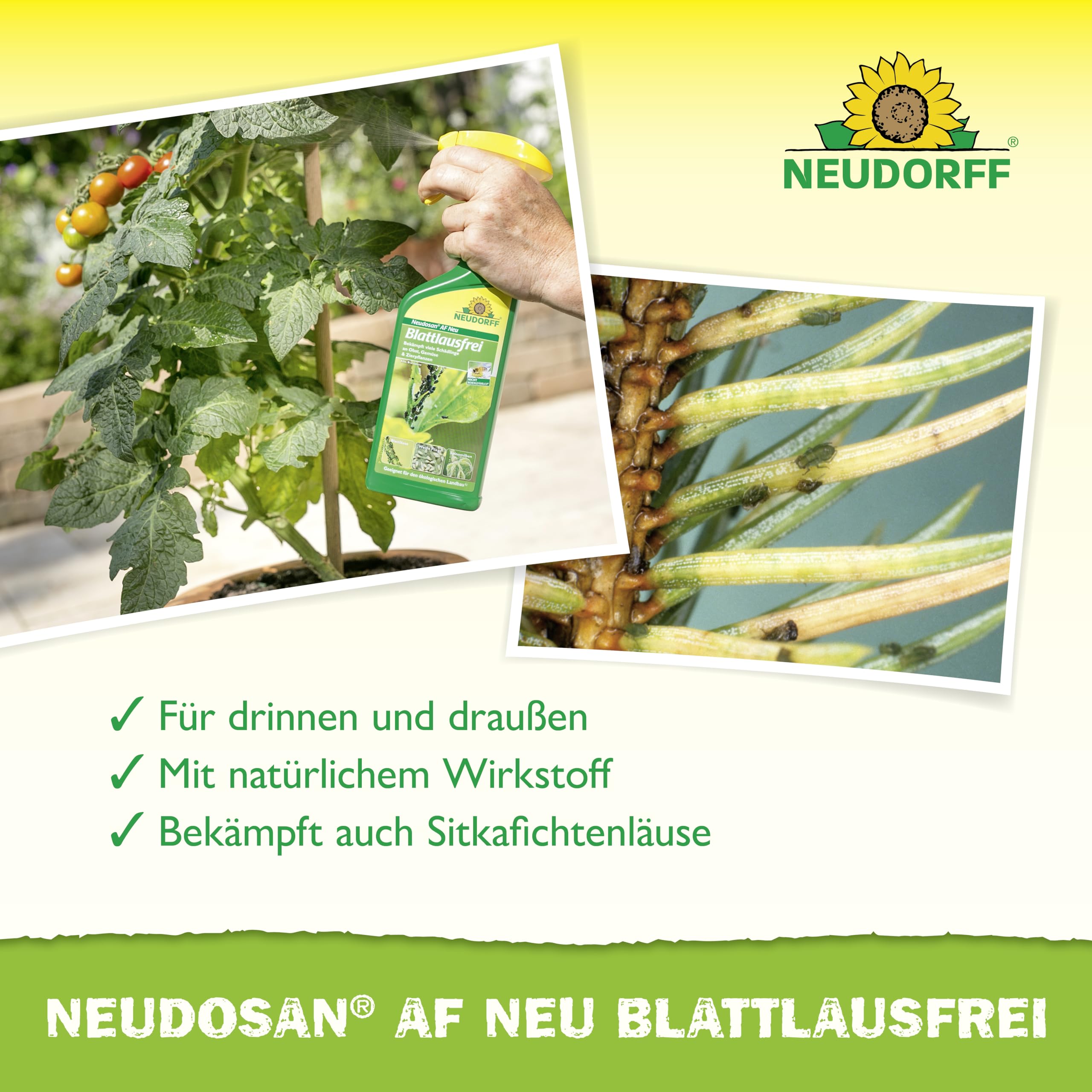 neudorff-neudosan-af-neu-blattlausfrei-sch-dlingsbek-mpfung-spray-500-ml image 4