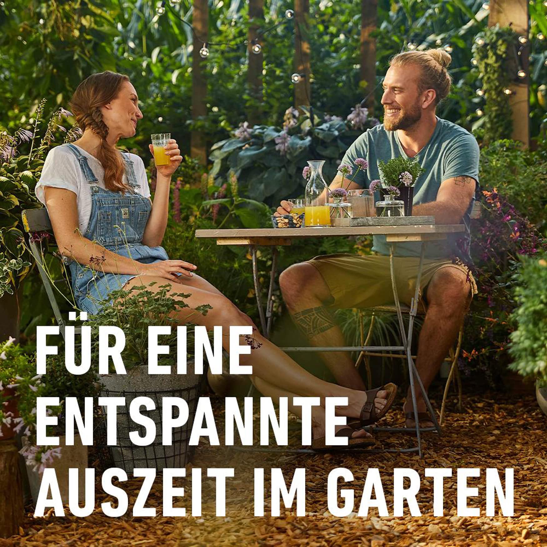 compo-wespen-falle-wiederbef-llbar-1-st-ck-22434 image 6