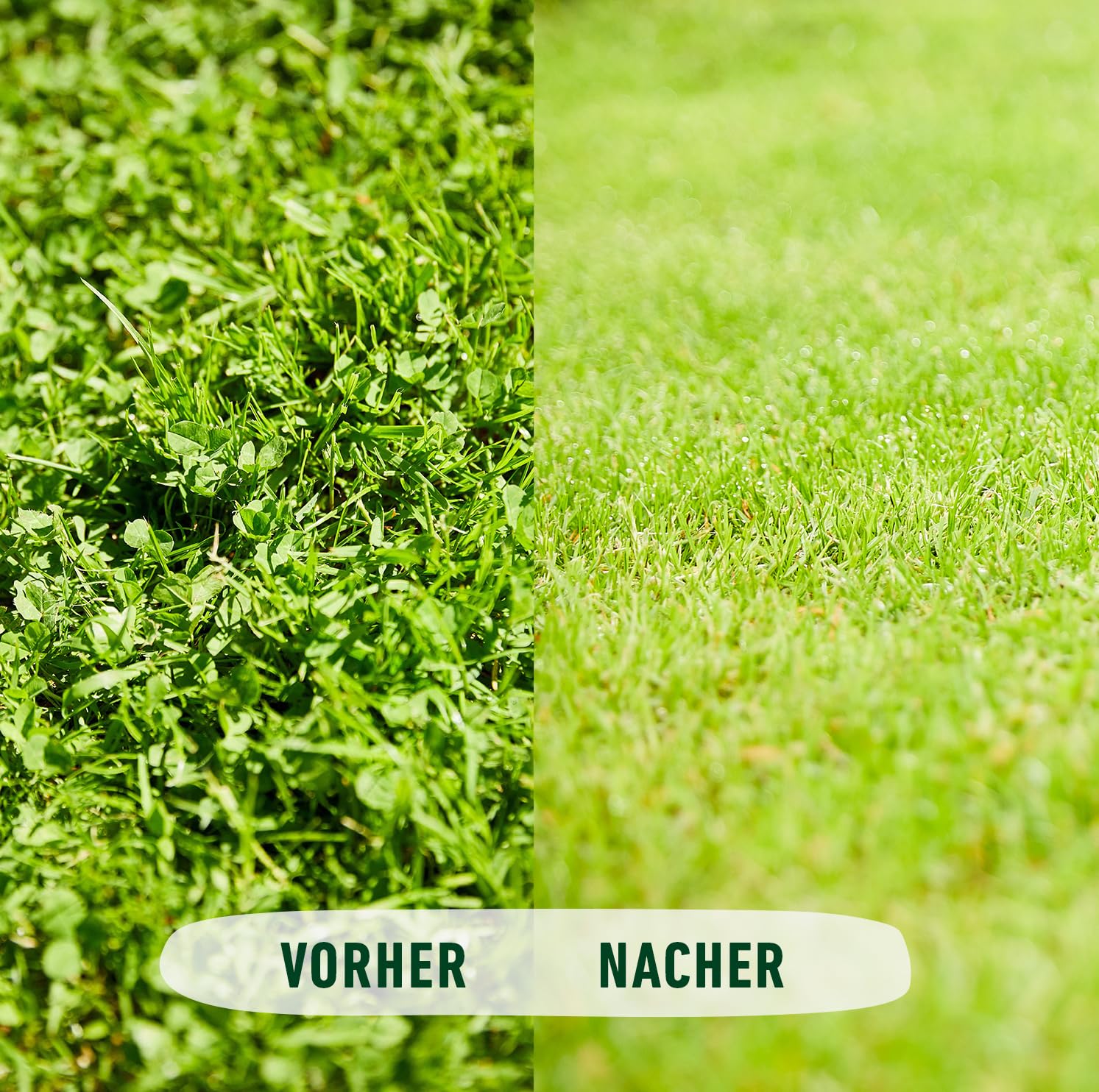 compo-rasend-nger-gegen-unkraut-moos-komplett-pflege-9-kg-f-r-300-m image 7