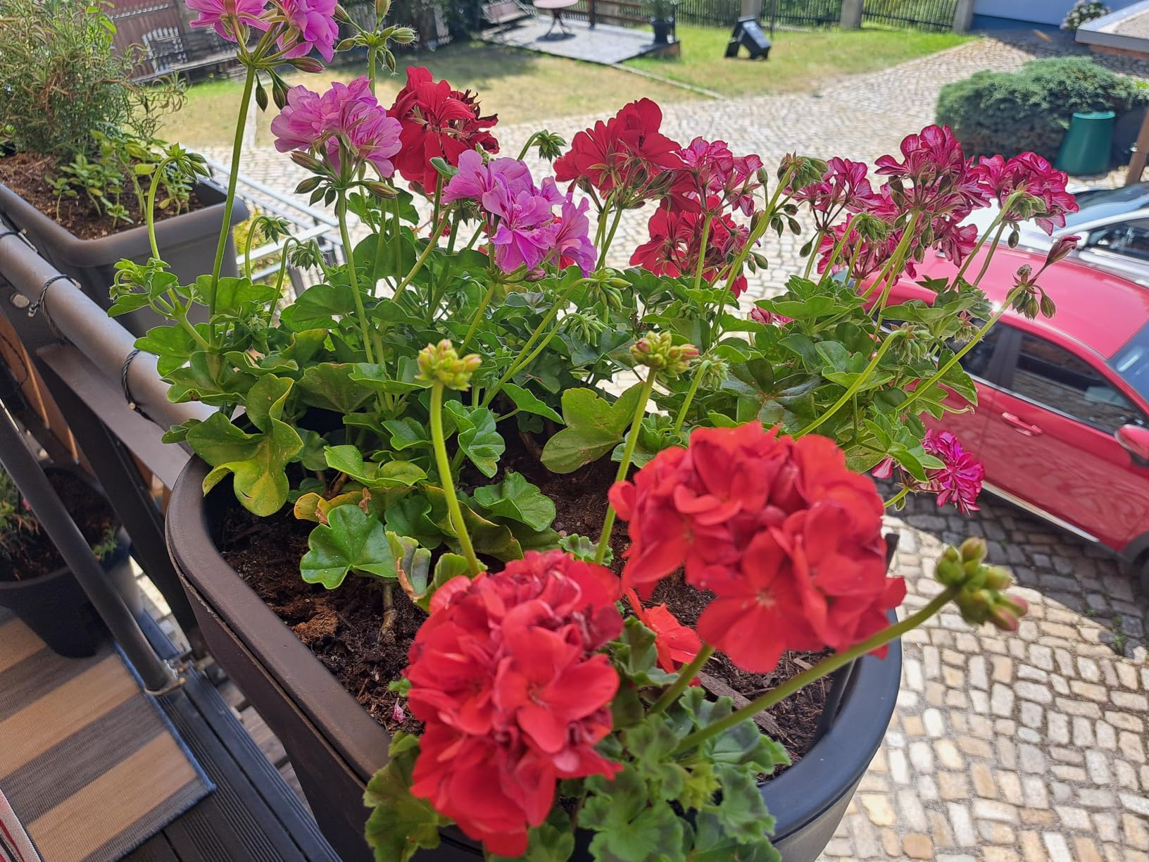 Preis-Leistung stimmt