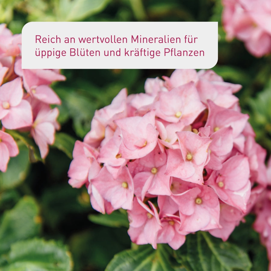 plantura-bio-saure-erde-palette-60-x-40-l-moorbeeterde image 2