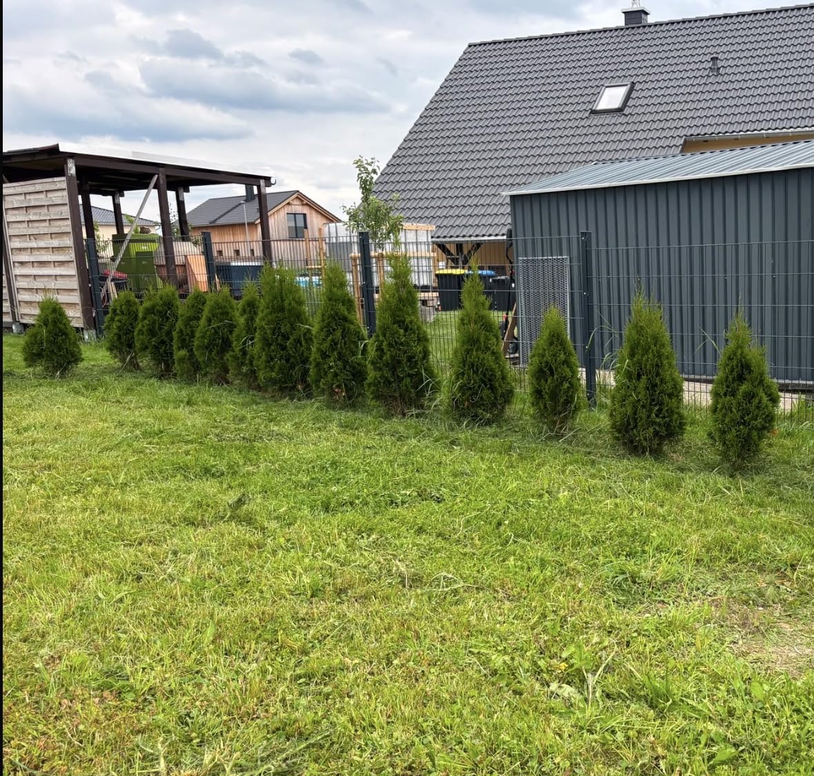 Guter Turbo für Thuja