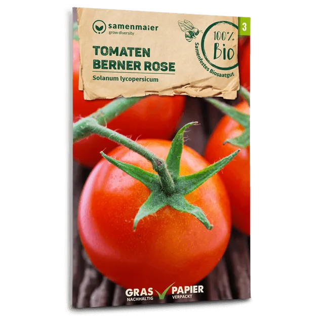 plantura-bio-tomate-berner-rose-bio-saatgut-fleischtomate image 1