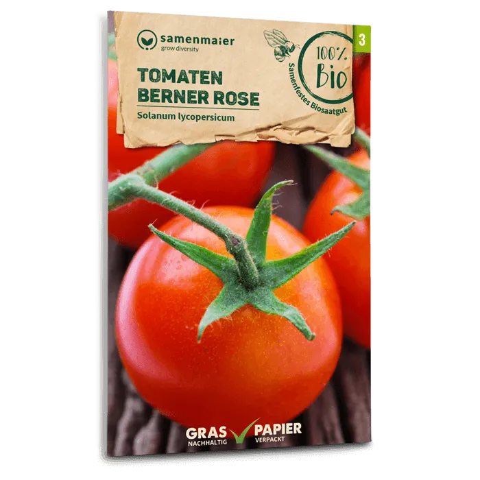 plantura-bio-tomate-berner-rose-bio-saatgut-fleischtomate image 1