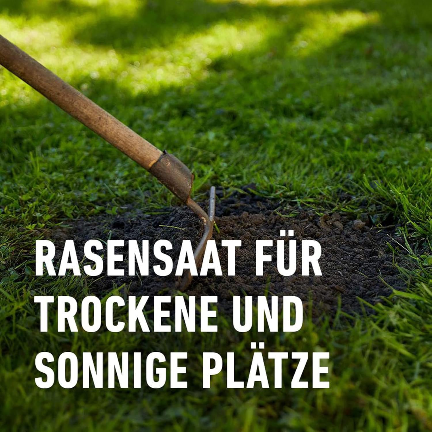 compo-saat-trocken-rasen-2-kg-f-r-80-m-rsm-2-2-2 image 3