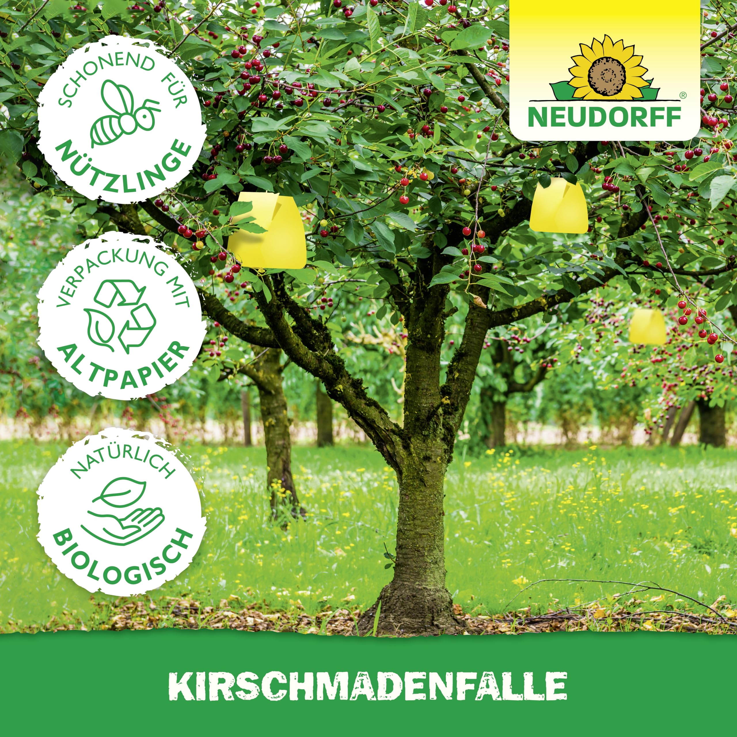 neudorff-kirschmadenfalle-7-st-ck-insektizidfreie-leimfalle-f-r-kirschen-und-wal image 5
