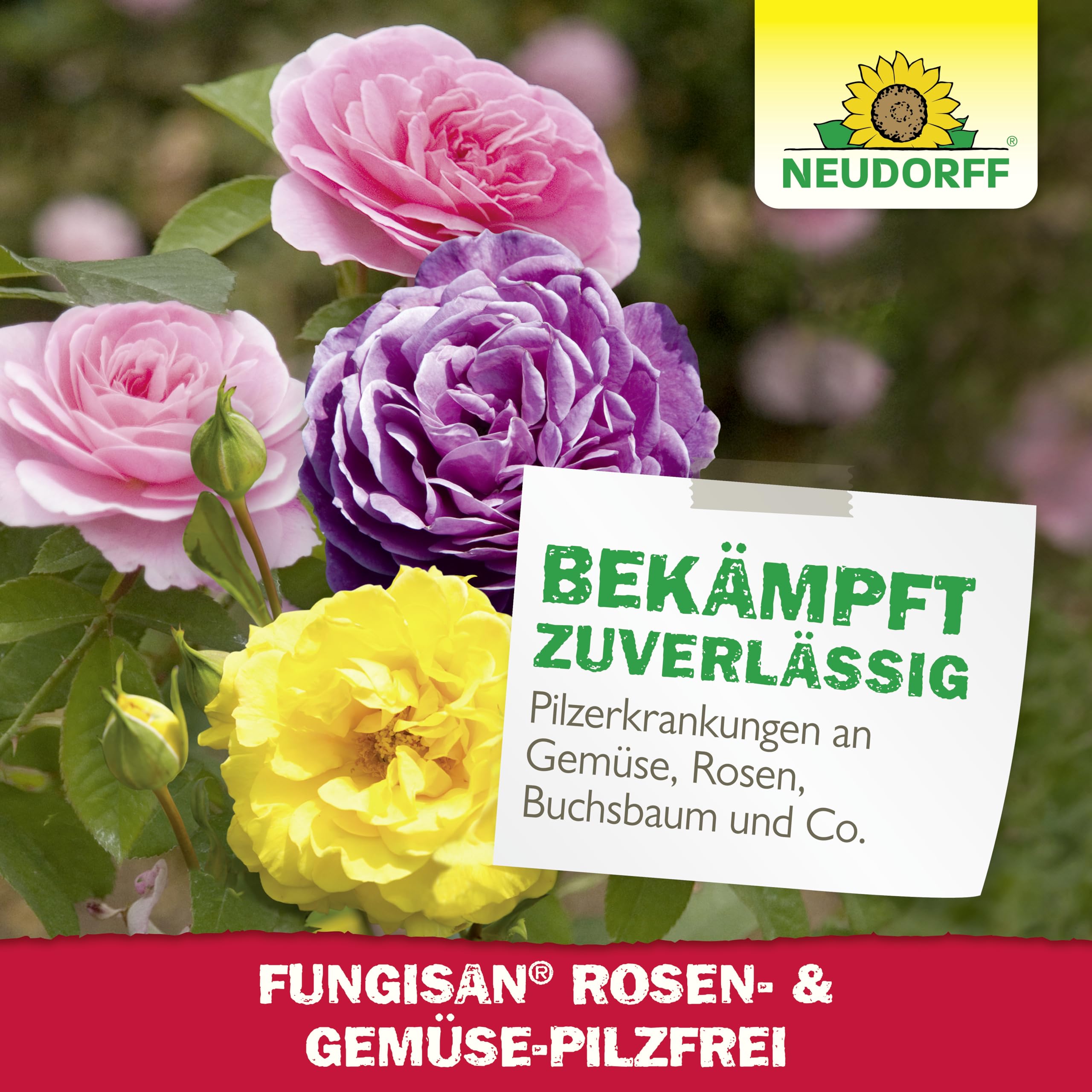 neudorff-fungisan-rosen-und-gem-se-pilzfrei-konzentrat-16-ml image 7