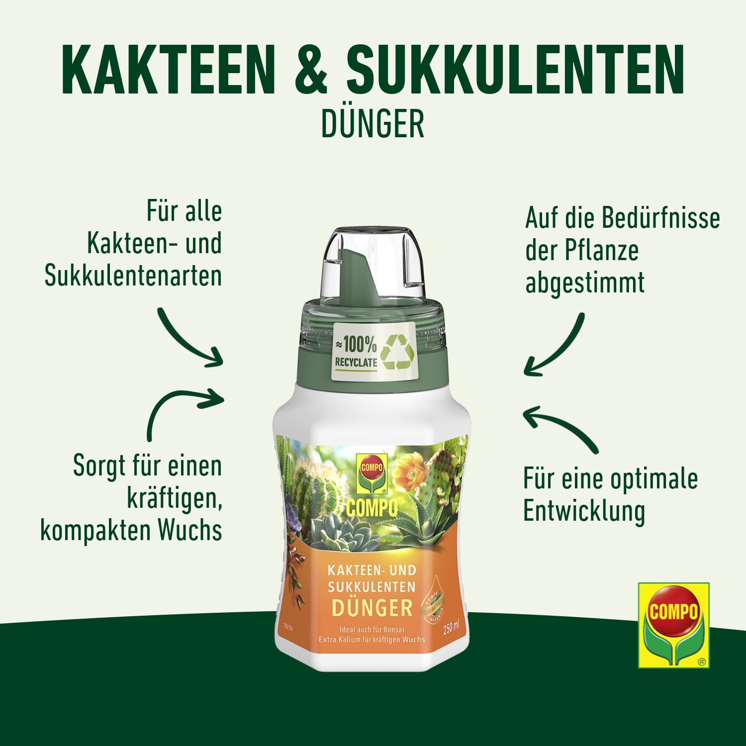 compo-kakteen-und-sukkulentend-nger-250-ml-fl-ssigd-nger image 2