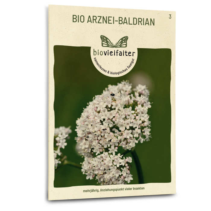 plantura-bio-arznei-baldrian-bio-saatgut-echter-baldrian image 1
