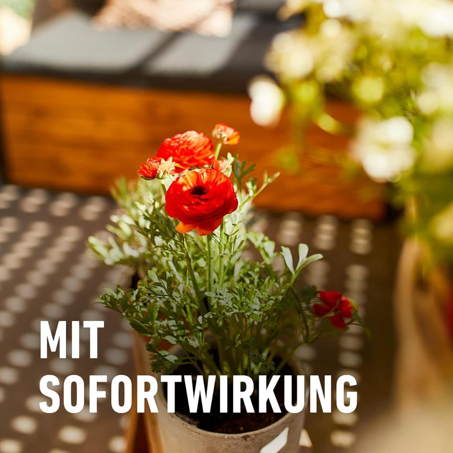 compo-balkon-und-k-belpflanzend-nger-1-2-kg-langzeit-6-monate image 6