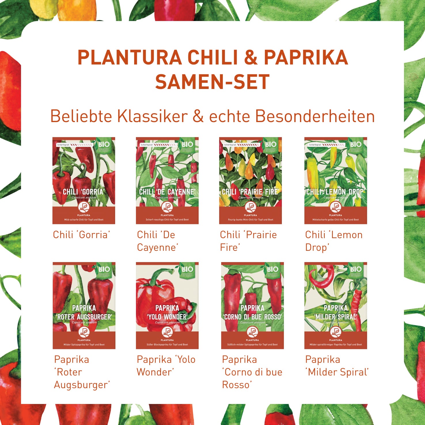 plantura-bio-chili-paprika-samen-set-8-sorten image 3