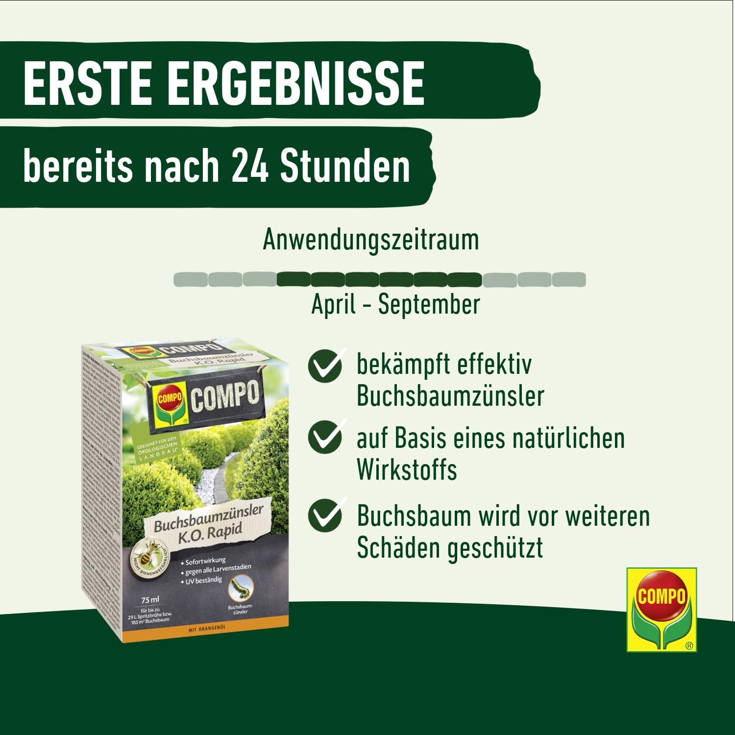 compo-buchsbaumz-nsler-k-o-rapid-75-ml-f-r-185-m-mit-sofortwirkung image 6