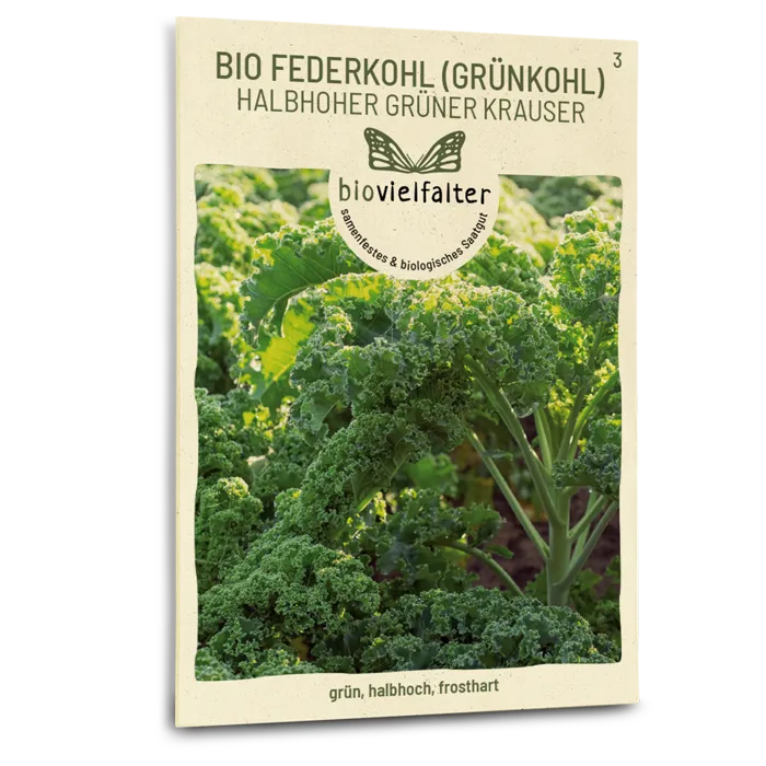 plantura-bio-gr-nkohl-halbhoher-gr-ner-krauser-bio-saatgut image 1