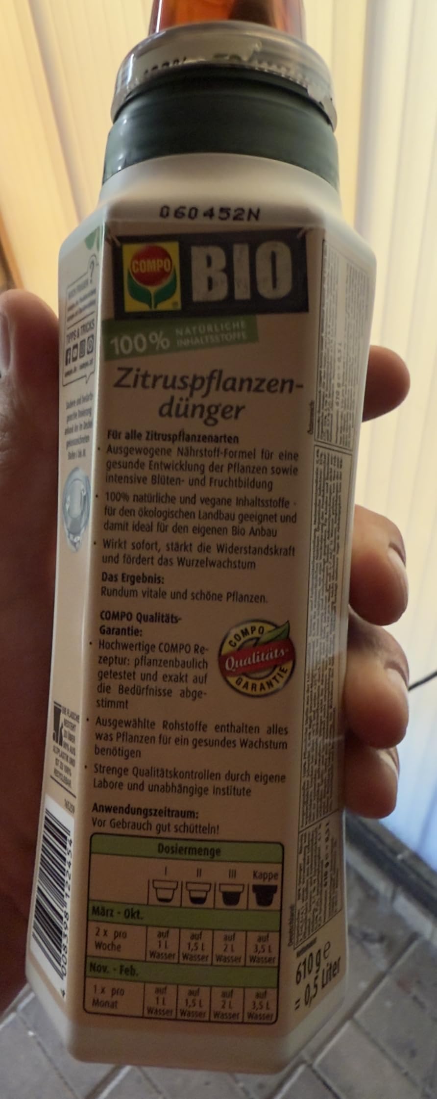 Gute Pflege für Kübelpflanzen