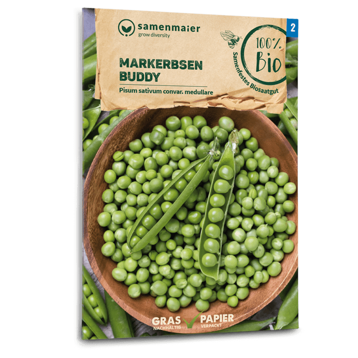 plantura-bio-markerbse-buddy-bio-saatgut image 1