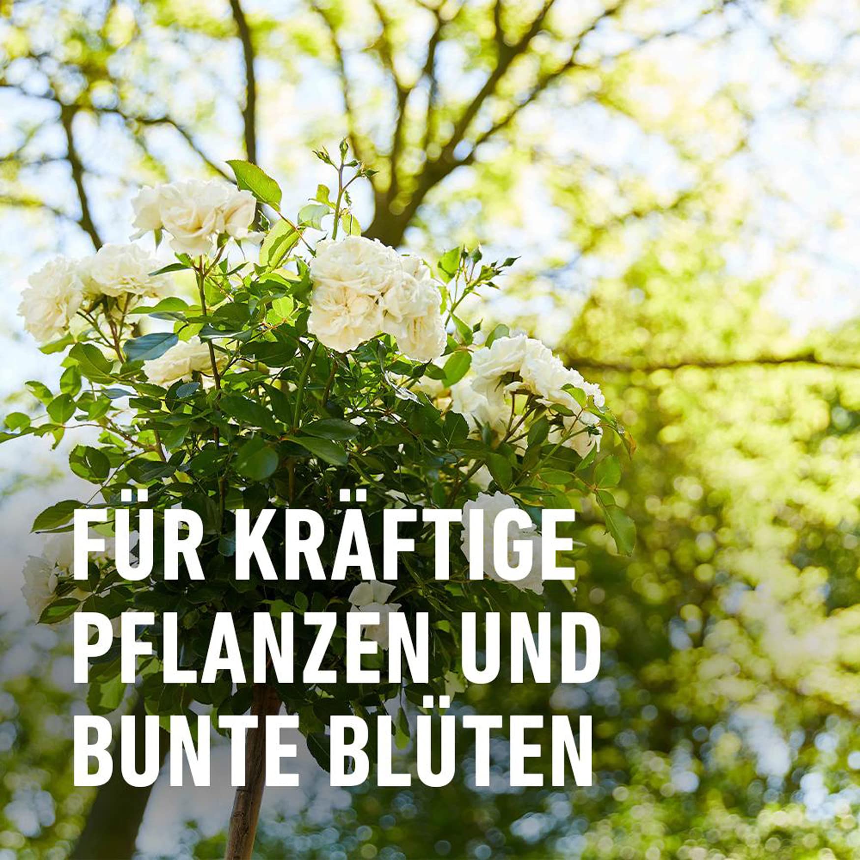 compo-bio-pferdedung-organischer-d-nger-12-kg-pellets image 5