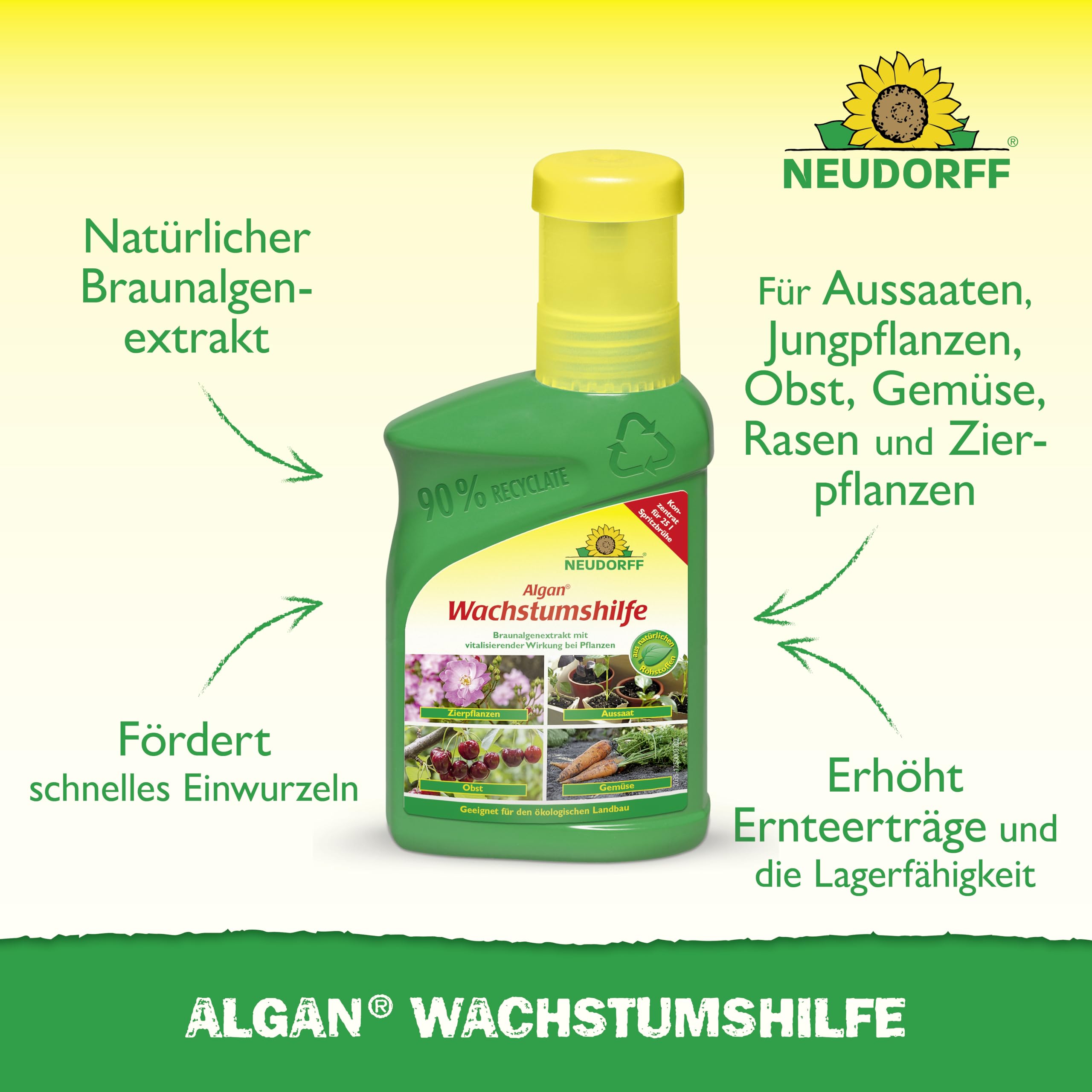 neudorff-algan-wachstumshilfe-konzentrat-250-ml-f-r-gem-se-obst-und-zierpflanzen image 2