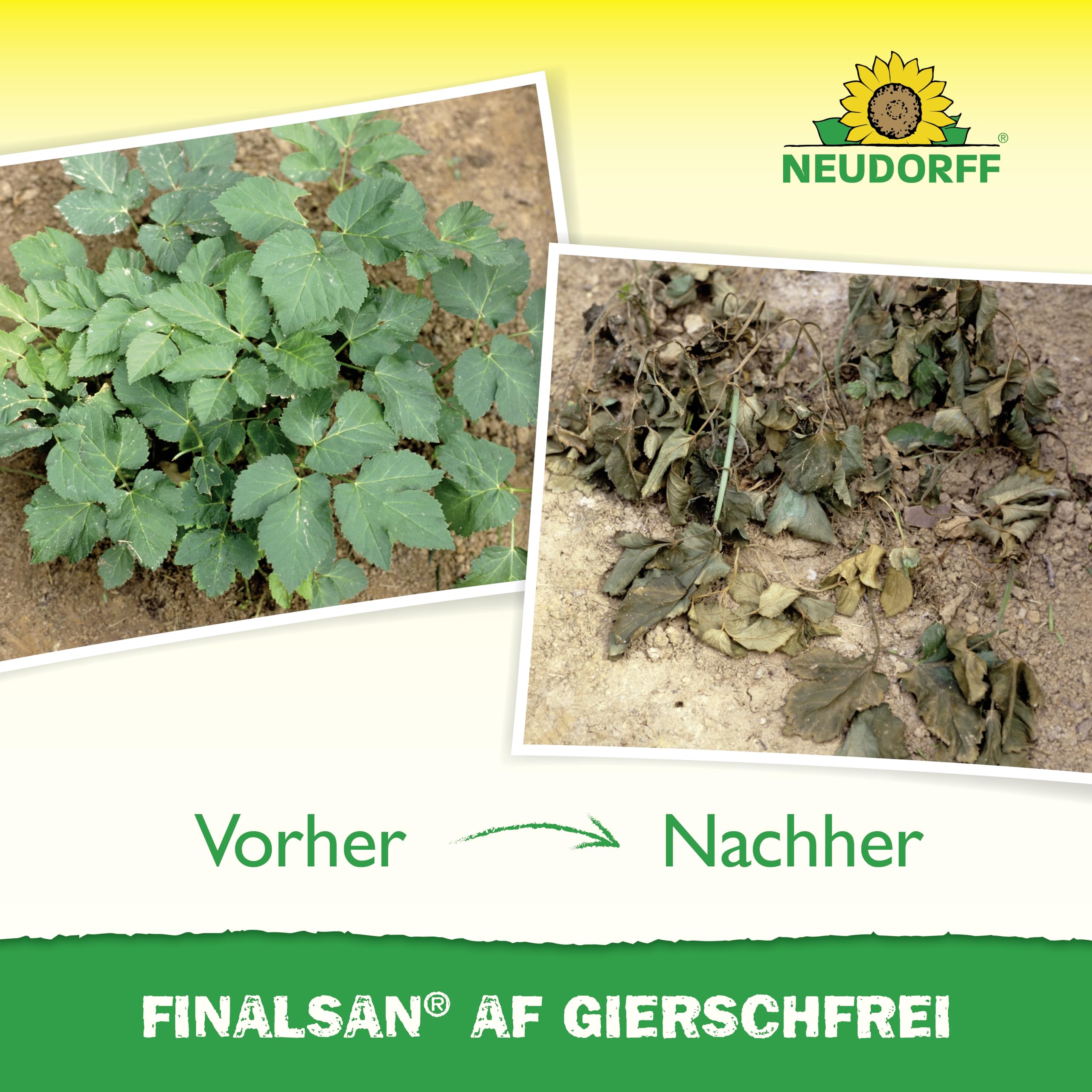 neudorff-finalsan-af-gierschfrei-750-ml-anwendungsfertiger-unkrautvernichter-geg image 5