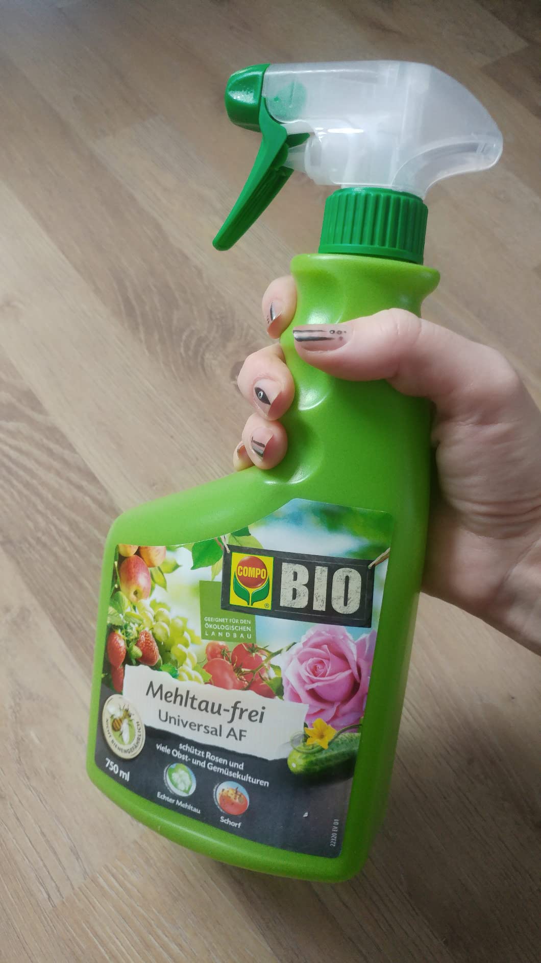 Mehltau an Rosen weg