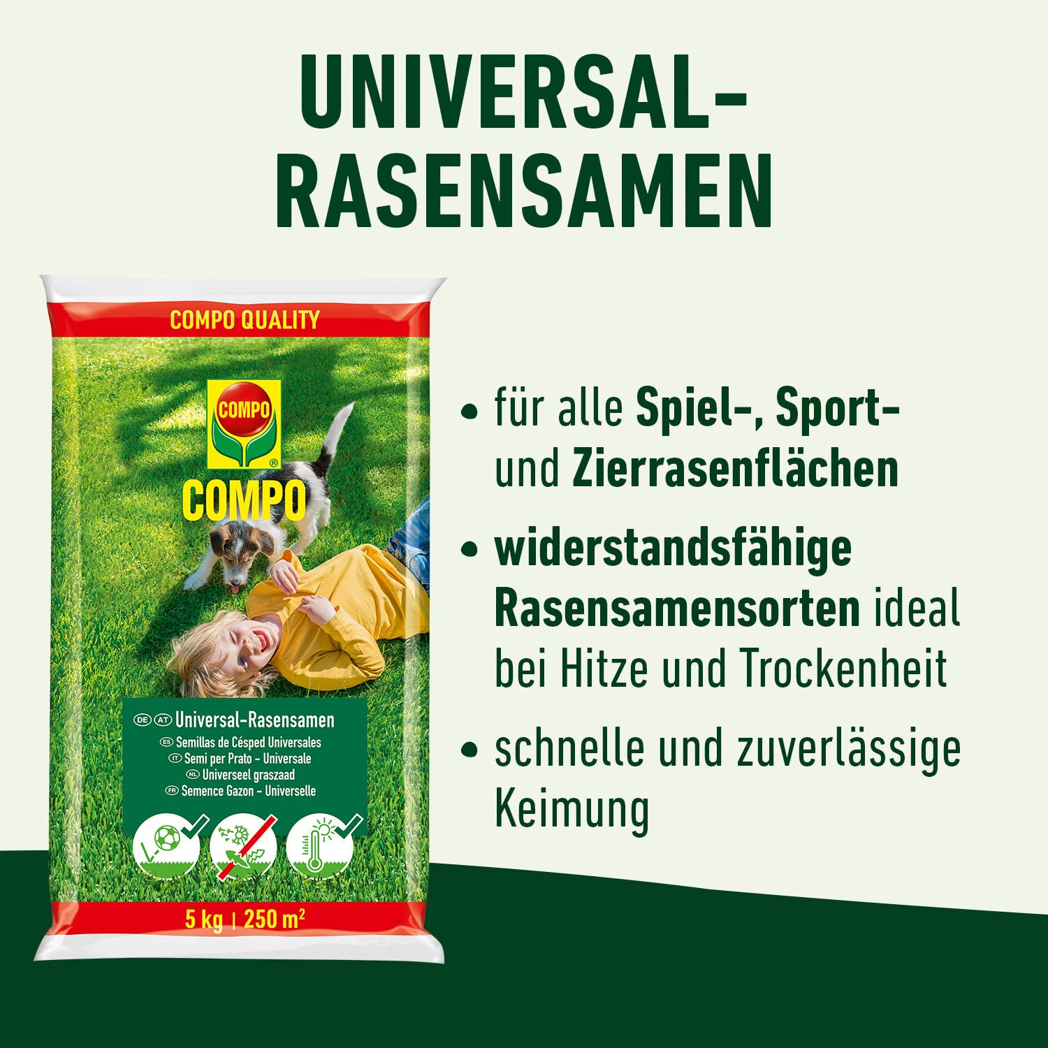 compo-universal-rasensamen-schnellkeimend-5-kg-f-r-250-m-spiel-und-sportrasen image 3