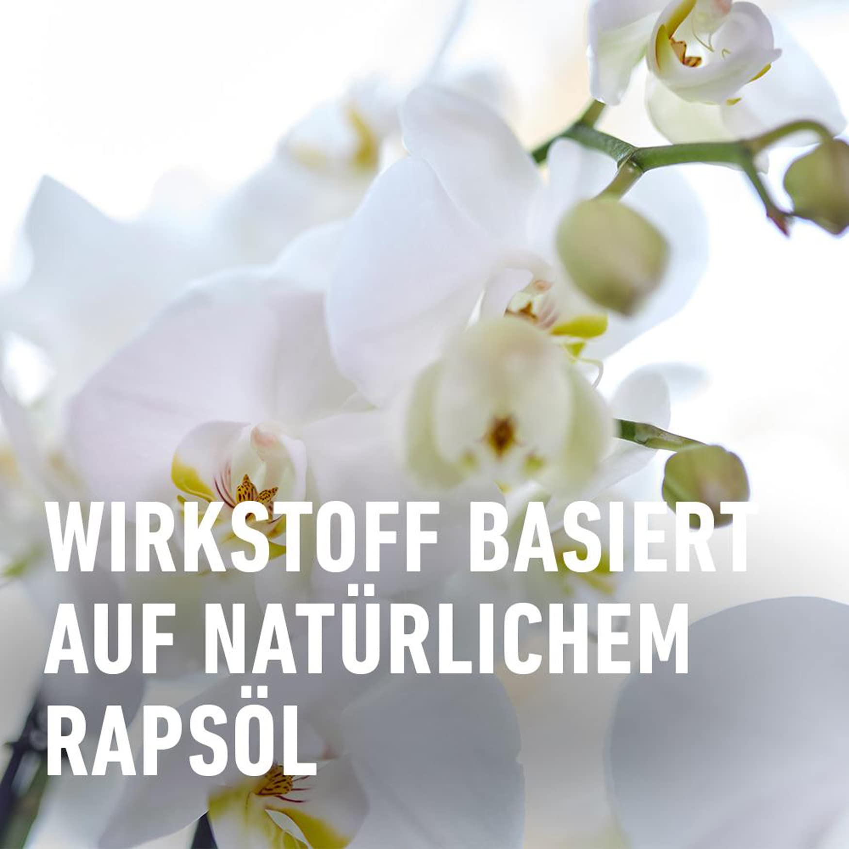 compo-orchideen-sch-dlings-frei-af-250-ml-kontaktinsektizid-spr-hflasche image 5