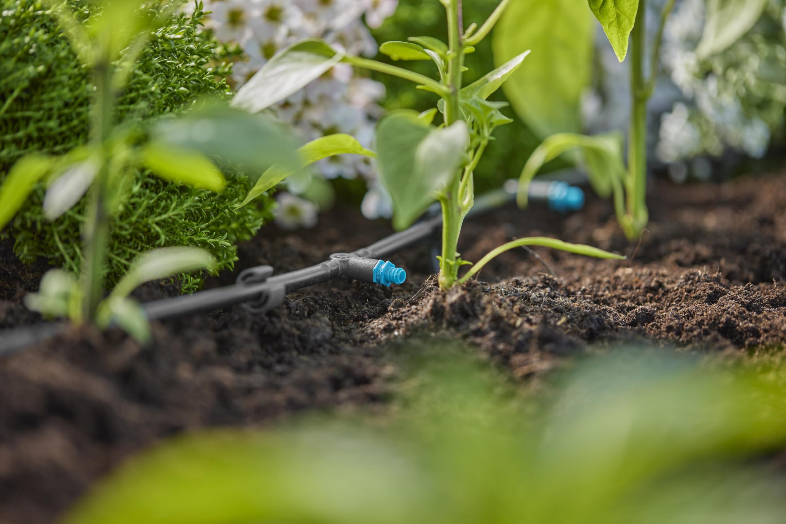 gardena-micro-drip-system-reihentropfer-2-l-h-10-st-ck-f-r-reihenbepflanzung image 5