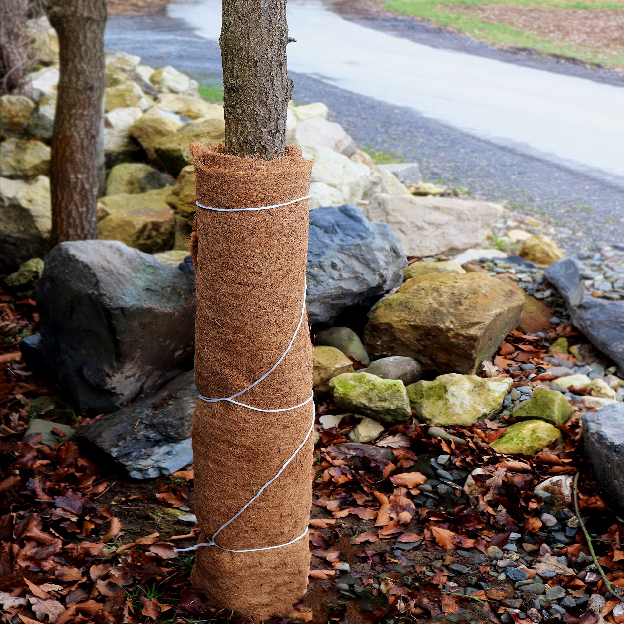 aquagart-kokosmatte-15-m-x-0-75-m-800-g-m-mit-naturlatex-b-schungsmatte-wintersc image 6