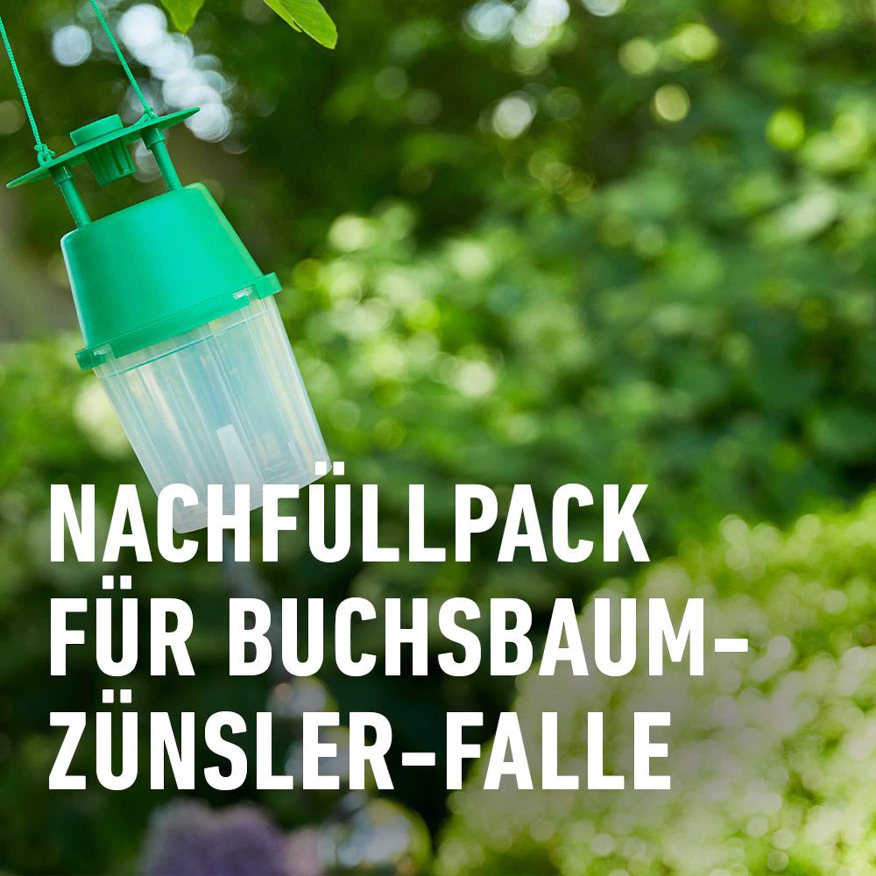 compo-buchsbaumz-nsler-falle-nachf-llpack-3-st-ck-22078 image 4