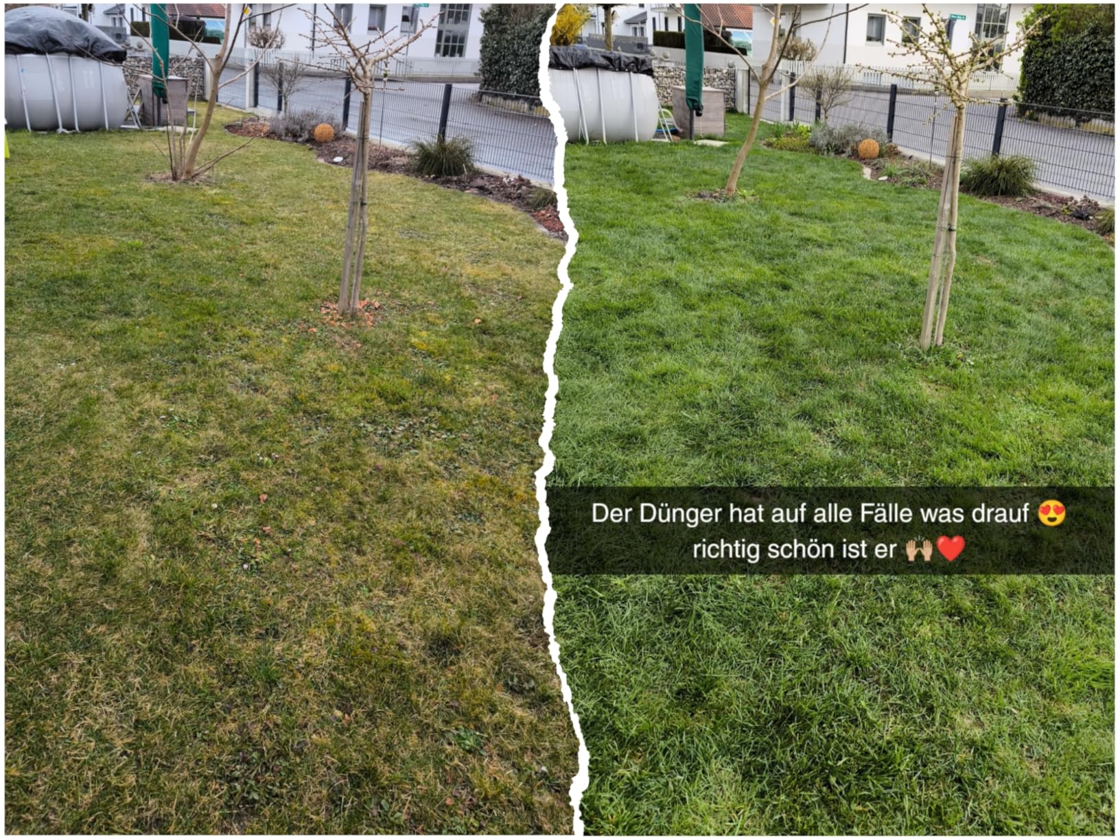 Braucht Geduld und Regen
