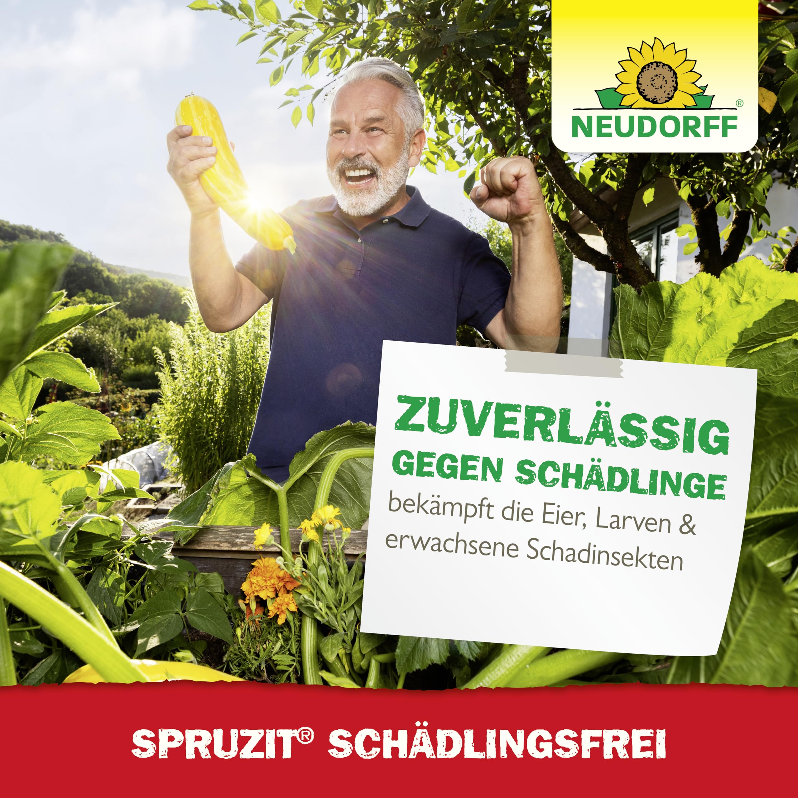 neudorff-spruzit-sch-dlingsfrei-konzentrat-50-ml-gegen-buchsbaumz-nsler-blattl-u image 6