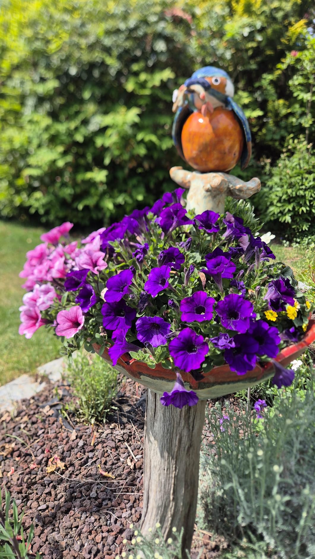 Kräftige Farben