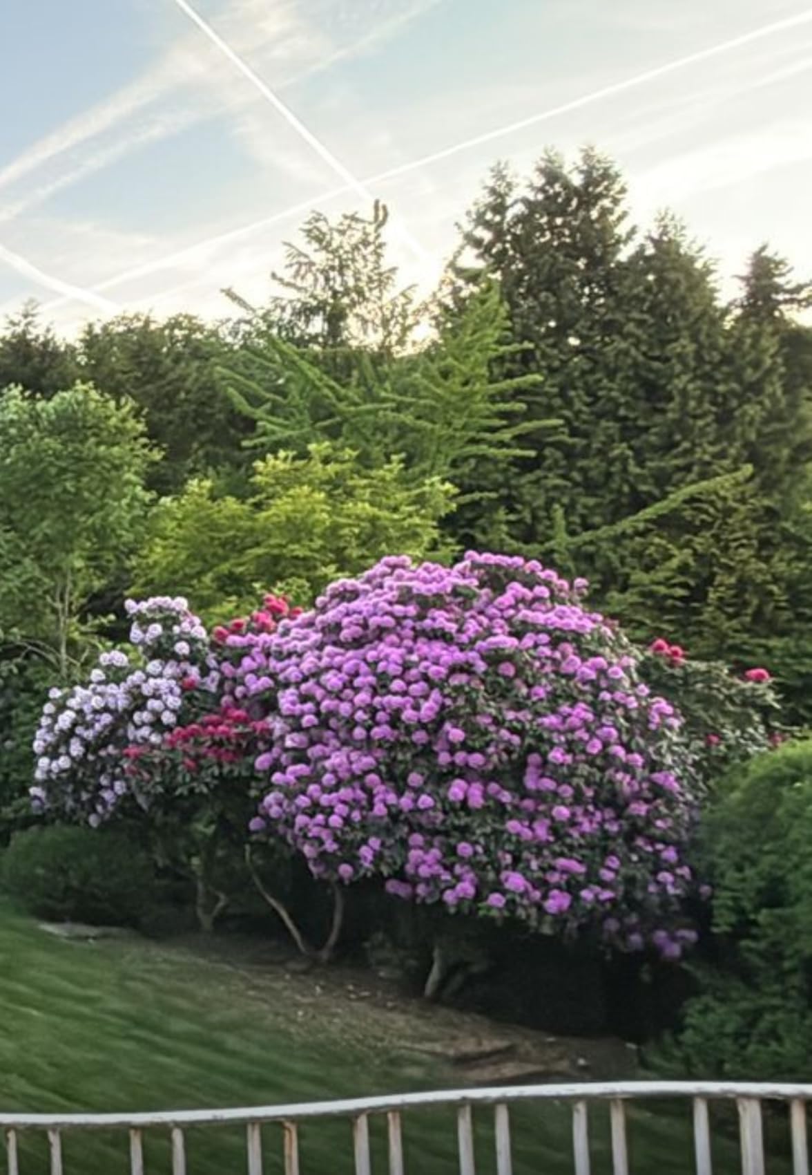 Bio passt in unseren Garten