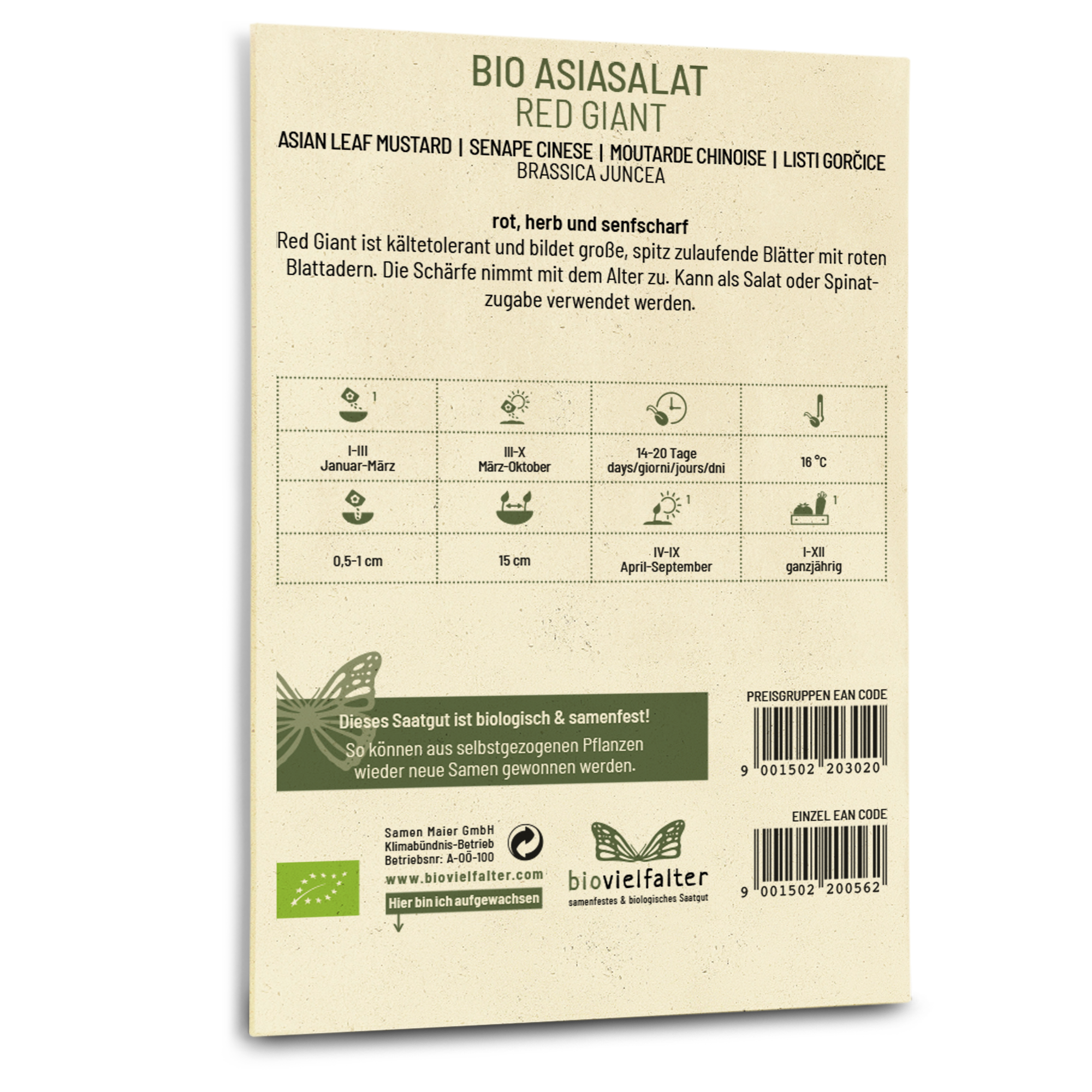 plantura-bio-asia-salat-red-giant-bio-saatgut image 3