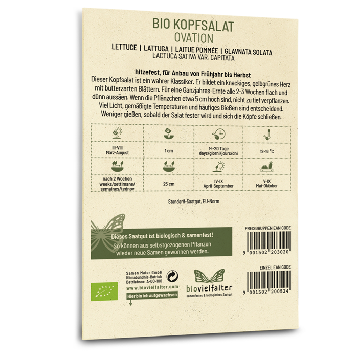 plantura-bio-kopfsalat-ovation-bio-saatgut-butterkopfsalat image 3