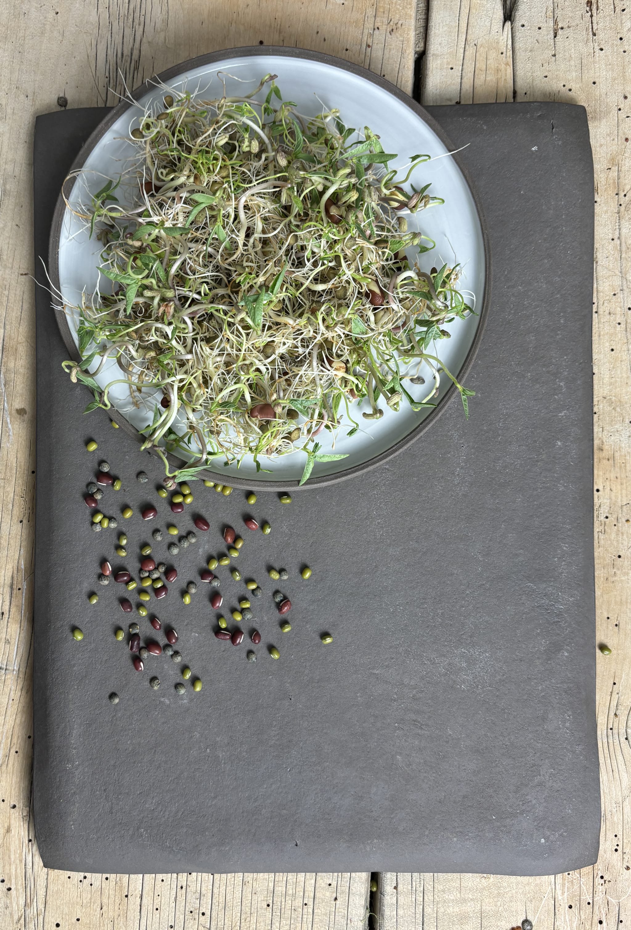 plantura-bio-sprossen-mix-mild-aromatisch-bio-saatgut image 2