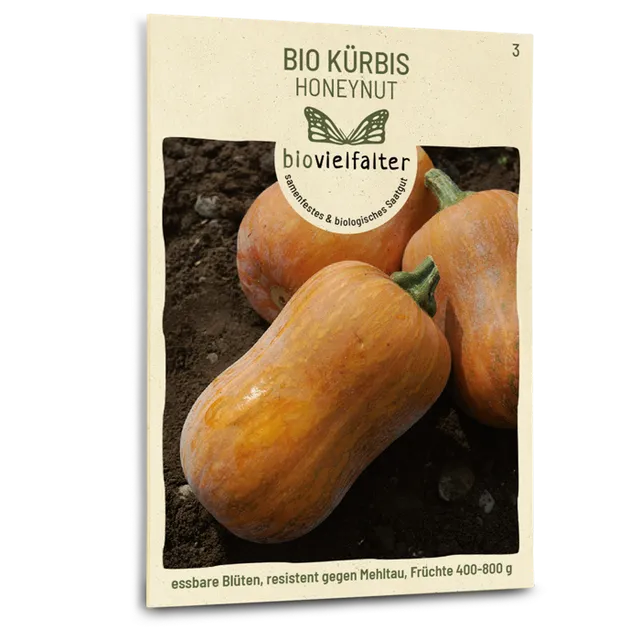 plantura-bio-k-rbis-honeynut-bio-saatgut image 1