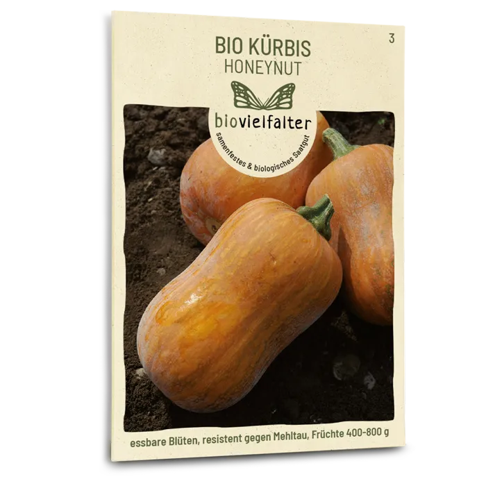 plantura-bio-k-rbis-honeynut-bio-saatgut image 1