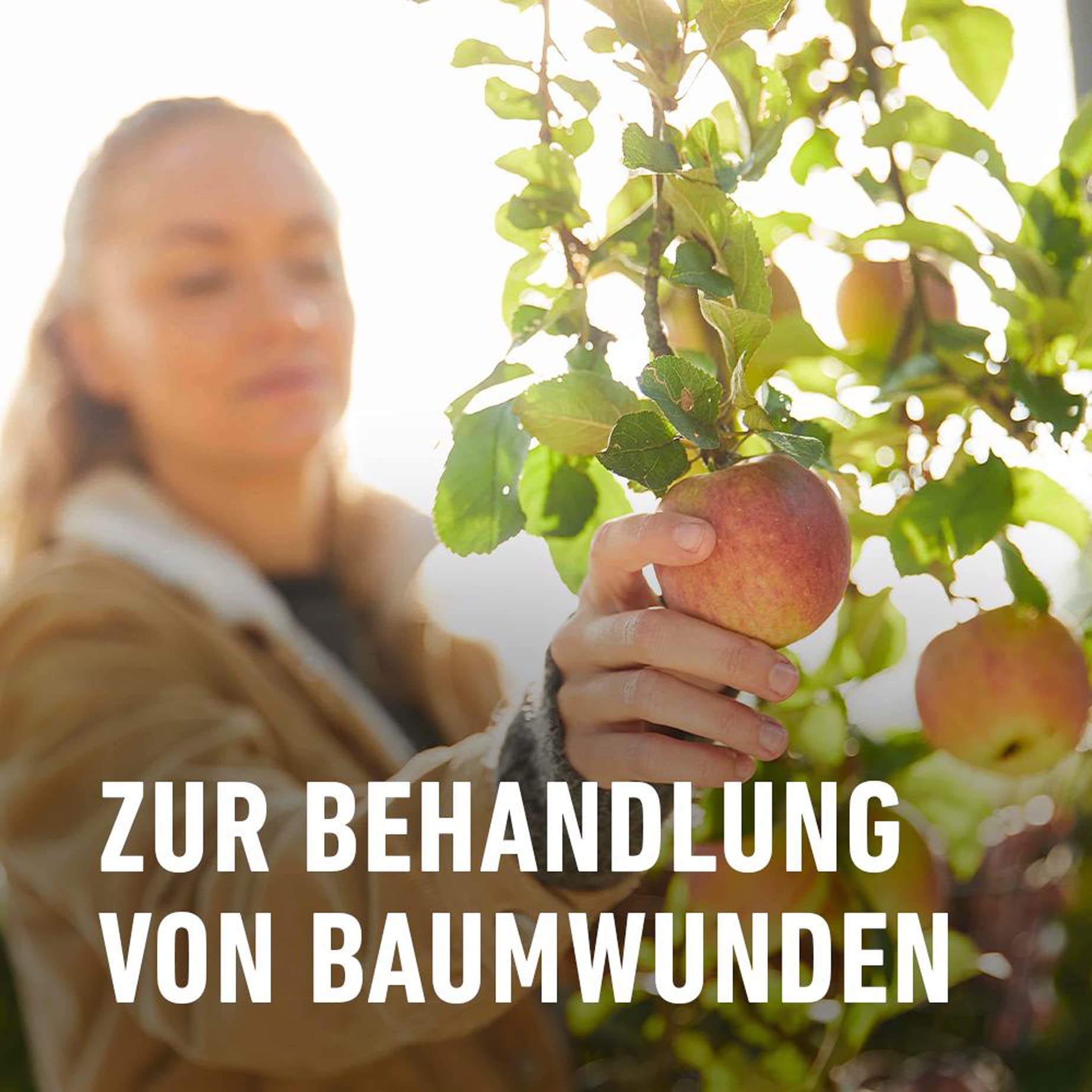 compo-lac-balsam-150-g-wundverschluss-f-r-zier-und-obstgeh-lze image 4