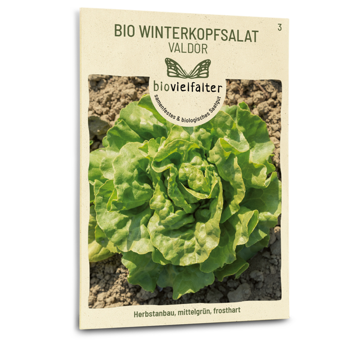 plantura-bio-winterkopfsalat-valdor-bio-saatgut image 1